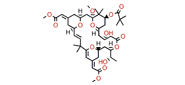 9-O-Methylbryostatin17